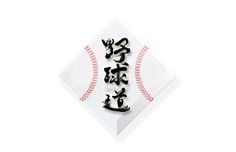 プロ野球中継