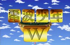 電波少年W～あなたのテレビの記憶を集めた～い！～